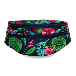 CoolPack Ledvinka Madison Candy jungle