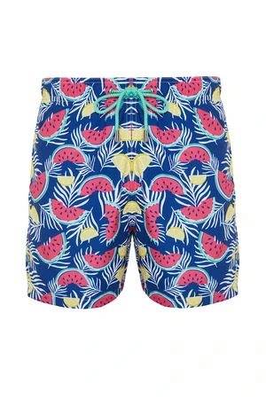 Trendyol Multi Color Standard Size Watermelon Print Swim Shorts