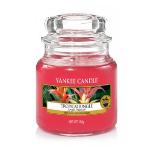 Yankee Candle Aromatická svíčka Classic malá Tropical Jungle 104 g