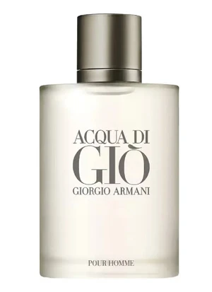 Giorgio Armani Acqua Di Gio Pour Homme – EDT 100 ml