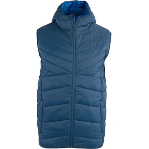 Men's vest ALPINE PRO