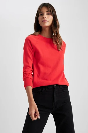 DEFACTO Regular Fit Crew Neck Basic Sweater