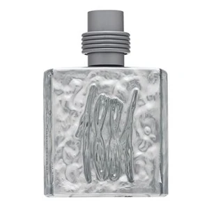 Cerruti 1881 Silver toaletná voda pre mužov 100 ml