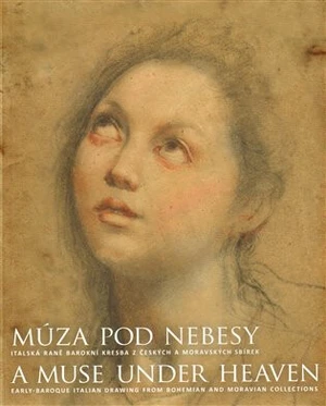 Múza pod nebesy