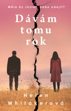 Dávám tomu rok - Helen Whitaker - e-kniha