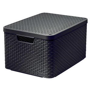 Hnedý úložný box s vekom Curver Style, 30 l