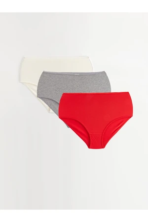 LC Waikiki Plain Classic Panties 3 Pack