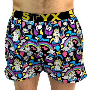 Men's boxer shorts Styx art sports rubber Unicorn