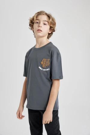 DEFACTO Boys Oversize Fit Crew Neck Printed Short Sleeve T-Shirt