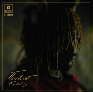 Thundercat - It Is What It Is (LP)