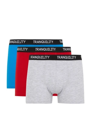 DEFACTO Regular Fit 3-Piece Boxer