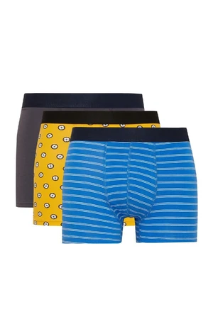 DEFACTO Regular Fit 3-pack Boxer