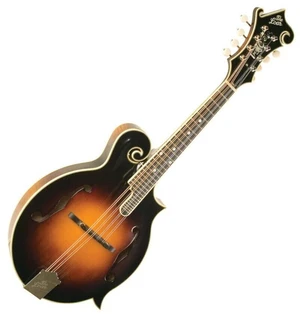 The Loar LM-600 Mandolina