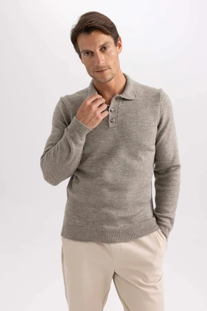 DEFACTO Standard Fit Polo Collar Pullover