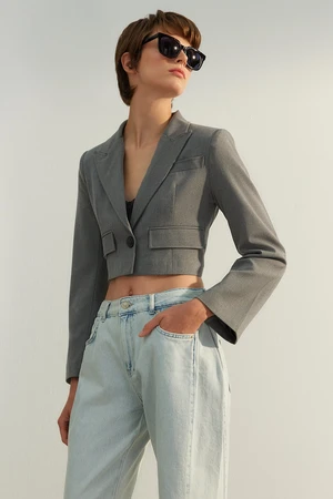 Trendyol Gray Limited Edition Crop Woven Blazer Jacket