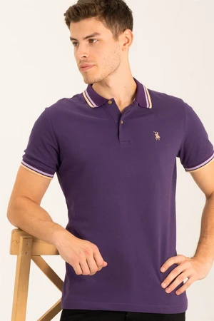 Polo da uomo dewberry