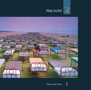 Pink Floyd - A Momentary Lapse Of Reason (2011 Remastered) (LP)