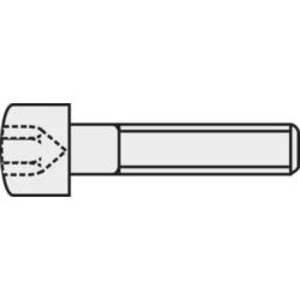 Šroub s válcovou hlavou a vnitřním šestihranem TOOLCRAFT, M2 x 5 mm, černá, 20 ks