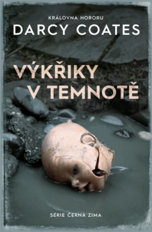 Výkřiky v temnotě - Darcy Coates - e-kniha