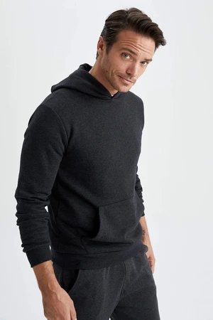 DEFACTO Regular Fit Sweatshirt