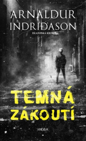 Temná zákoutí - Arnaldur Indridason