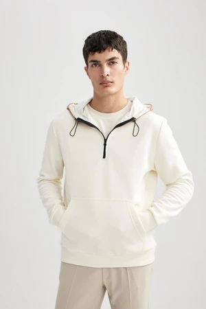 DEFACTO Modern Fit Hooded Sweatshirt