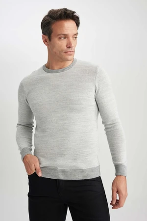 DEFACTO Standard Fit Crew Neck Sweater