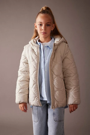 DEFACTO Fleece Lined Puffer Jacket