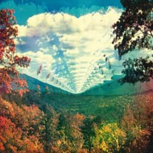 Tame Impala – InnerSpeaker LP