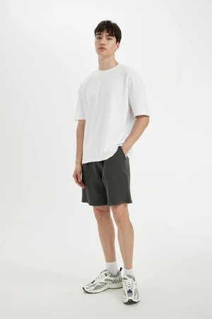 DEFACTO Relax Fit Honeycomb Textured Shorts