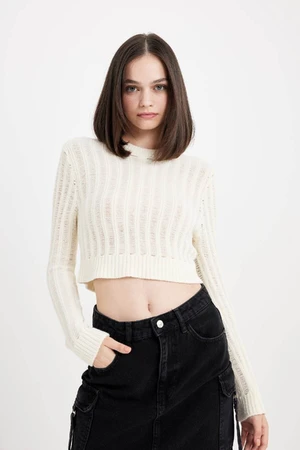 DEFACTO Regular Fit Crop Crew Neck Knitted Hole Knitwear Sweater