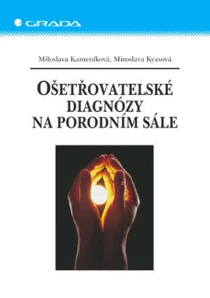 E-kniha: Ošetřovatelské diagnózy na porodním sále od Kameníková Miloslava