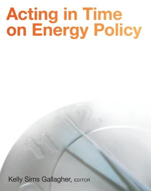 Acting in Time on Energy Policy