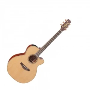 Takamine P3nc