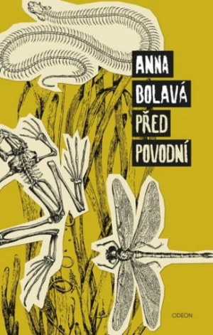 Před povodní - Anna Bolavá