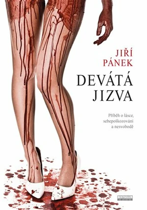 Devátá jizva - Jiří Pánek