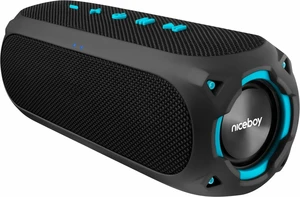 Niceboy RAZE Radion 4 Portable Lautsprecher Black