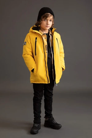 DEFACTO Regular Fit Coat/Parka