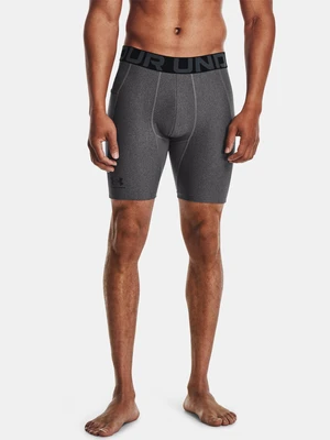 Pantaloncini da uomo Under Armour GRY