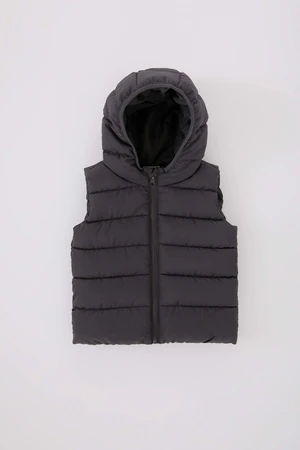 DEFACTO Vest