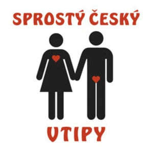 Sprostý český vtipy - Autoři různí - audiokniha