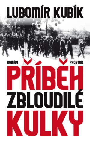 Příběh zbloudilé kulky - Lubomír Kubík - e-kniha