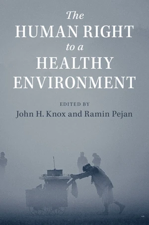 The Human Right to a Healthy Environment