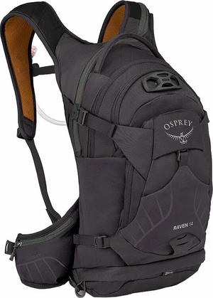 Osprey Raven 14 Space Travel Grey Hátizsák