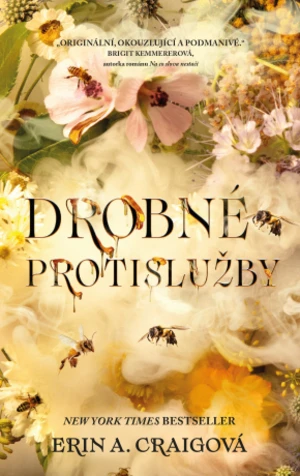 Drobné protislužby - Erin A. Craigová - e-kniha