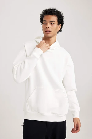 DEFACTO Oversize Fit Long Sleeve Sweatshirt