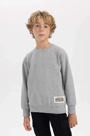 DEFACTO Regular Fit Crew Neck Sweatshirt