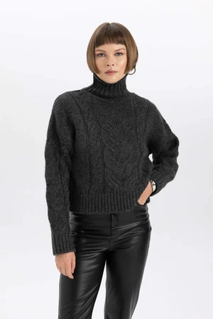 DEFACTO Relax Fit Half Turtleneck Pullover