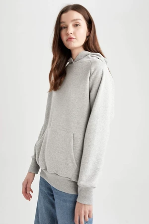 DEFACTO Crew Neck Basic Sweatshirt