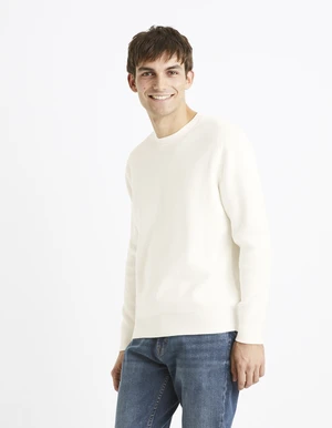 Celio Ribbed Sweater Dexter - Men